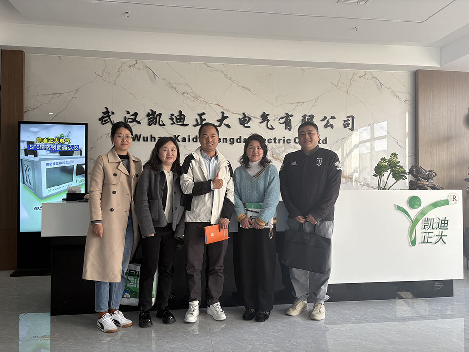 <strong>熱烈歡迎東西湖區(qū)商務局領導和金銀湖街道工作人員走訪我司</strong>