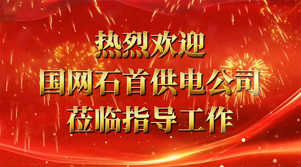 熱烈歡迎國網(wǎng)石首供電公司領導蒞臨我司考察指導